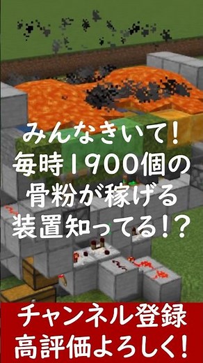 【Java】誰でも簡単に超効率！骨粉製造機の作り方知ってる？！【便利装置・回路・トラップ】サバイバルマイクラバニラゆっくり実況 1.21マインクラフト ソラクラ #shorts