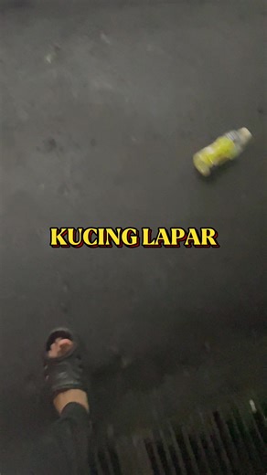 Kasih Makan Kucing Jalanan di Taman Permainan