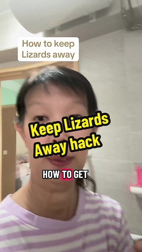 Natural Hack to Keep Lizards Away from Your Kitchen