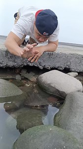 Catching grouper #viralreelsシ #fishing | Nads Tv