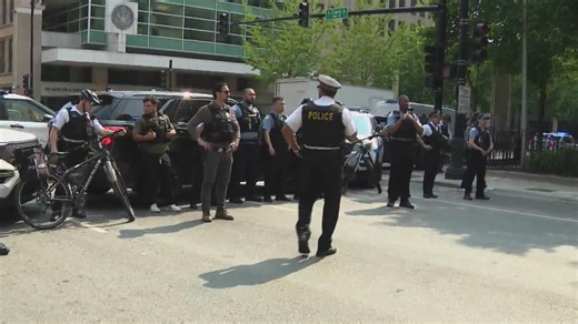 ‘No Kings’ protests held in Chicagoland as demonstrators march nationwide