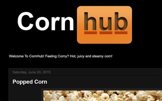 cornhub: 全球最大玉米交易网站