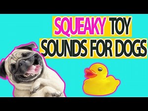 Squeaky Toy Sound Effects For Dogs - Make your dog go crazy HD sound effects