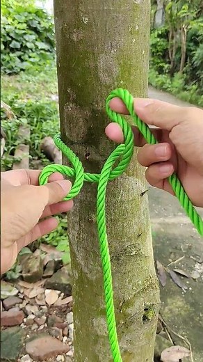 Popular Knots! Which is very easy, fast, and reliable!