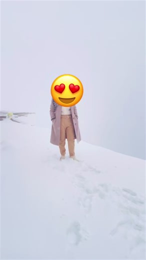 Beautiful Snowfall Captured in Nature's Embrace