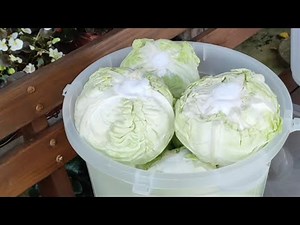 KISELJENJE KUPUSA ZA ZIMU! Najlakši način bez pretakanja! #4k