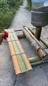 Amazing fàct #reelstrending #viralreelschallenge #facebookreel #viralchallenge #facts #short #viralpost | FactoFact