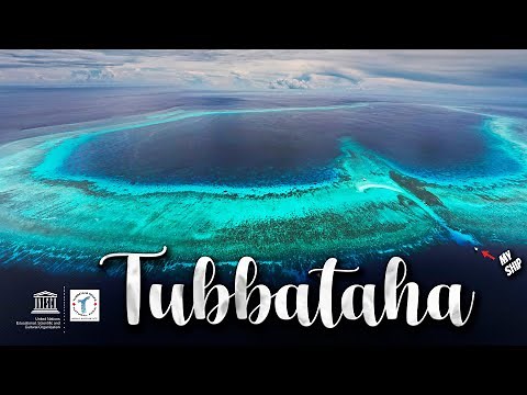 TUBBATAHA The Crown Jewel of the Philippines