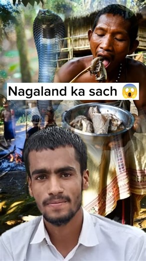 “In This Indian State, Eating Snakes Is a Tribal Tradition 😱”#Nagaland fact#shorts#viral#youtube