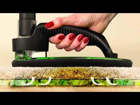 Reappearing Carpet Stains & Odors: old wet carpet stains that keep coming back