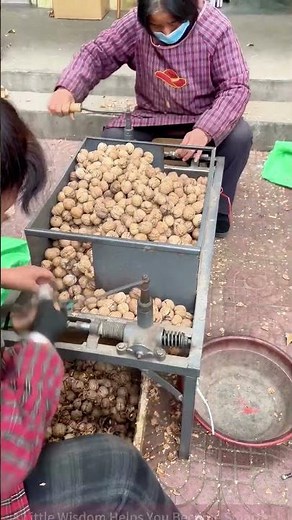 Street-side Walnut Shelling Machine, Amazing Efficiency!