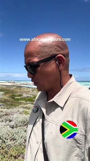 Cape Town is a city that stirs your soul, it's beautiful beyond description, it gets under your skin, it changes you! Book a Private Tour: info@africansuntours.com WhatsApp:  27822935600 www.africansuntours.com #privatetourguidecapetown #uniqueexperiences #besttourguideincapetown #travelcapetown #thingstodoincapetown
