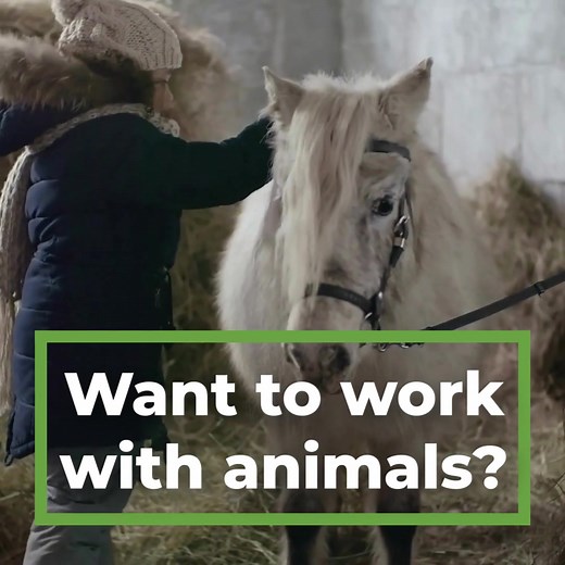 Earn Your Animal Health or Animal Science Degree 100% Online And Enjoy What You Do! | Unity Environmental University