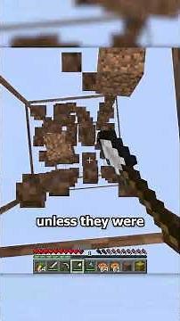 100 days x-raying on my friend's minecraft server