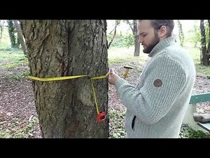 ArborElectro measurement