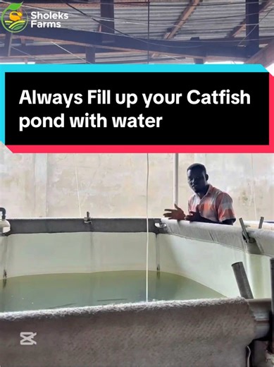 Catfish Pond Maintenance Tips for Farmers