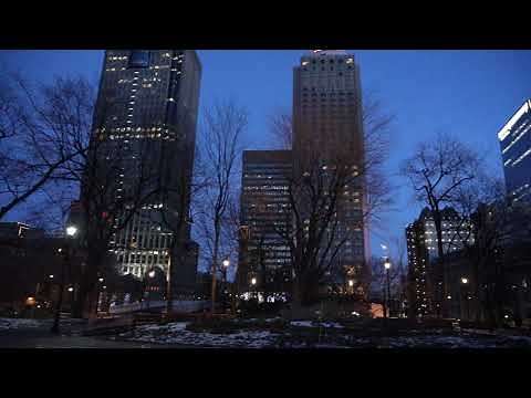 Sony Alpha A7R IV 4X Slow-Motion Sample Video