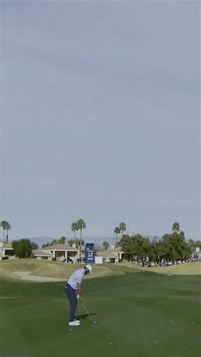 'Stranglehold' moment for Scottie 💪