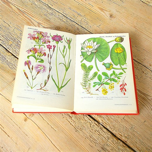 Vintage Flower Book, Flora Field Guide 120  Pages, Floral Illustrations, Collage Pages, Grasses Wildflowers, Wall Decor Botany, Botanical - Etsy Canada