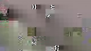 5.1K views · 302 reactions | Marine Special Operations Forces...