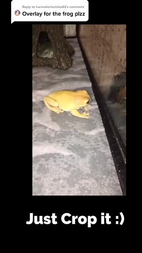 Ꮇʏƈɛʀǟ★ on TikTok