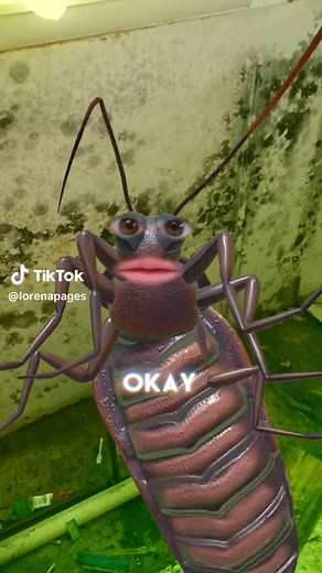 Monday Audio #cancelmonday #momdayaudio #mondaysound #comedysound #viralaudio #trendingsounds