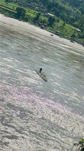 Bamboo Rafting on the River #namrangbuk Sanjal
