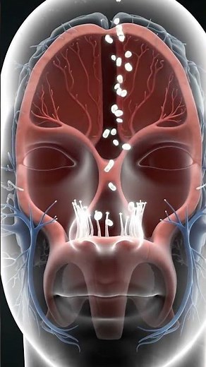How Do You Smell? 👃 The Amazing Olfactory System!