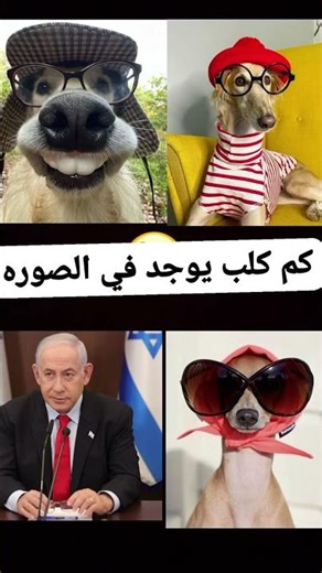🐶 انظف منه