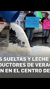 Producers denounce cancellation of codes for Leche para el Bienestar; 20,000 liters are lost daily