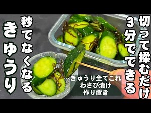 秒でなくなる！切って揉むだけ3分！簡単きゅうりのわさび漬け 浅漬け 塩昆布 人気 時短 作り置き常備菜 副菜 節約 おつまみレシピ 熱中症対策 おうちごはん ライフハック