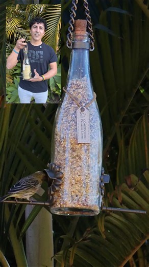 Somos uma família de artesãos apaixonados por natureza e criamos comedouros para pássaros feitos à mão, um a um, com muito cuidado! 👐🐦 Além de trazerem elegância para seu jardim ou quintal, nossos comedouros são superpráticos: 🌱 Feitos com vidro reciclado ✔️ Não deixam a ração molhar, mesmo na chuva 💨 Nem os ventos fortes derrubam a comida 🎁 E ainda são uma ótima opção de presente! Leve mais beleza, vida e carinho ao seu espaço — ou surpreenda alguém especial com esse presente inesquecível.