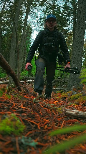 Macro Photography: Start Your Youtube Channel Today! Create with Simple Gear DJI Neo & DJI Action 5