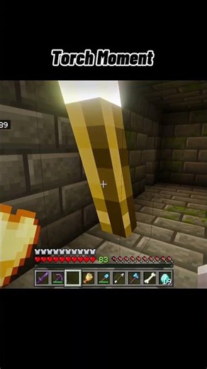 Minecraft Torch Moment #minecraft #gameplay