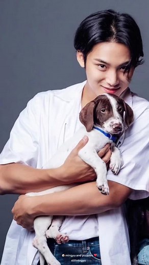 Mingyu Playing with Puppies | Heartwarming Moments