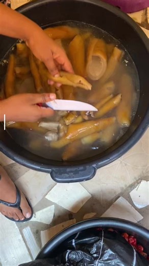 Student Life at Victorielle Hostel