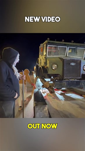 What was supposed to be a “simple favour” turns into a full-blown nightmare! Mike hits his limit on this one — and you won’t believe what happens next! 👉 Full video on YouTube — watch now! Barriere Auto & Truck Tow #rustbros #rustvalleyrestorers #mikehall #wildmangarage #averyshoaf #carproject #classiccars #carrestoration #MattShewchuk | Rust Bros Restorations