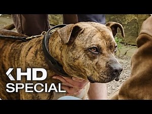 TRANSFORMERS 5: The Last Knight Featurette German Deutsch (2017)