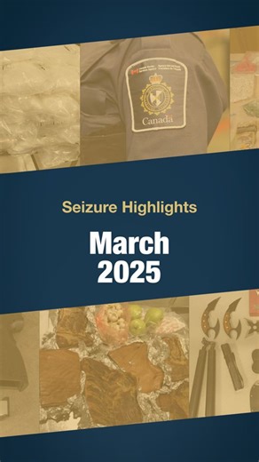 14K views · 378 reactions | Year-round we take action to secure our border and protect our communities. Here are the highlights of our seizures across the country in March 2025. | Canada Border Services Agency | Facebook