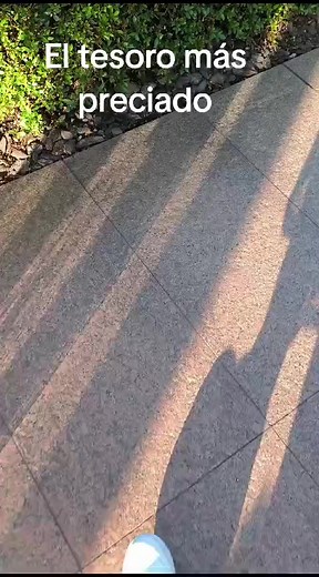 Videos de Eli Sun (@eli.sun3) con “sonido original - Eli Sun”