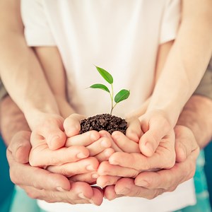 Educație ecologică pentru copii. 14 activități de făcut în familie