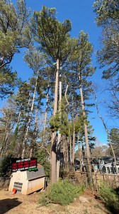 1K views · 383 reactions | ‍♂️Tree Service Project  Lawrenceville,...