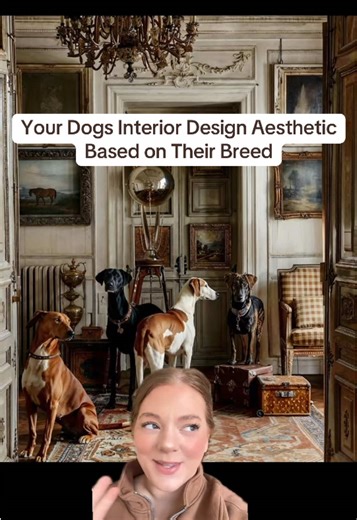 What’s your favorite dog breed? #dogs #interiordesign #interiordesigner #homedecor #designtips