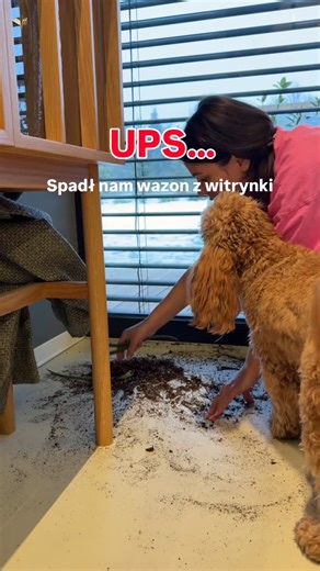 STODOŁA • WNĘTRZA • INSPIRACJE • HIZERO Paulina Salamończyk on Instagram: "Kto jeszcze się zastanawia nad tym sprzętem ? U mnie zakup z rabatem przedstawicielskim - 200 zł, Po zakupie otrzymasz ode mnie Wideoporadniki oraz moja opiekę posprzedażowa. Możliwość umówienia sie na prezentację Masz pytania ? Zapraszam Paulina Salamończyk Przedstawiciel Hizero 506819919 Materiał reklamowy @sterna_polska #mop #czystydom #hizero #nowoczesnydom #mikrocement"