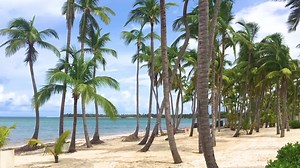 🌴☀ Traumstrände so weit das Auge reicht - DOM. REP.! ☀🥥🌴 9 Tage im super Hotel **** mit All Inclusive, Transfer & Flügen ab 1089€ Hier erfahrt ihr mehr: https://www.urlaubsguru.at/?f=971964 Wer soll euch begleiten? :) | urlaubsguru.at