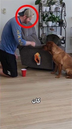 تعليم الرجل لحيواناته انتهى بكارثة!⭕😮