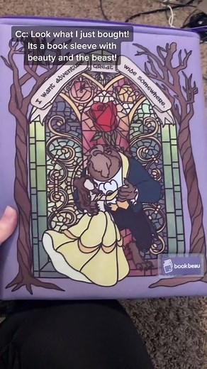 Beauty and the Beast Book Sleeve Review