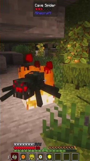 #minecraft #onepiece #minecraftshorts