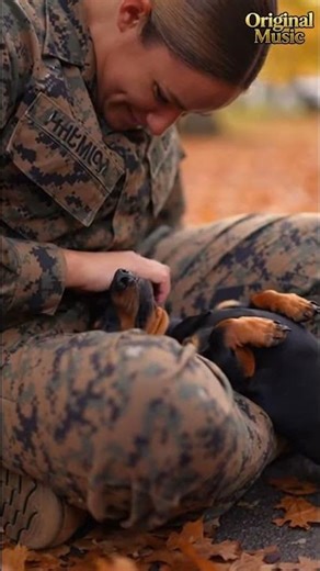 Soldiers Coming Home To Their Dogs Compilation 🇺🇸