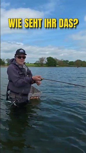 Hornhechte: Am Anfang aggressiver? #hornhecht #angeln #fishing